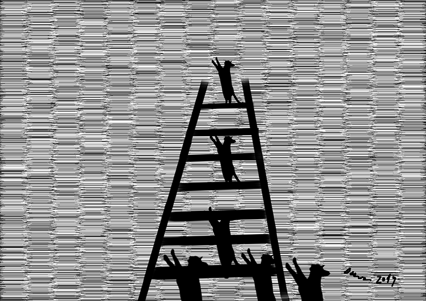 Cats on the ladder (Animals by Giulia Occorsio)