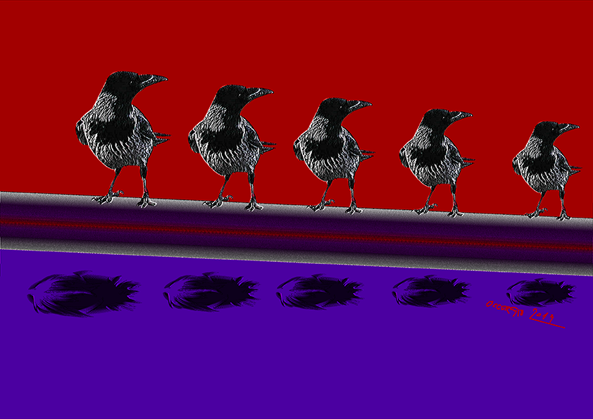 Lying Crows (Animals by Giulia Occorsio)