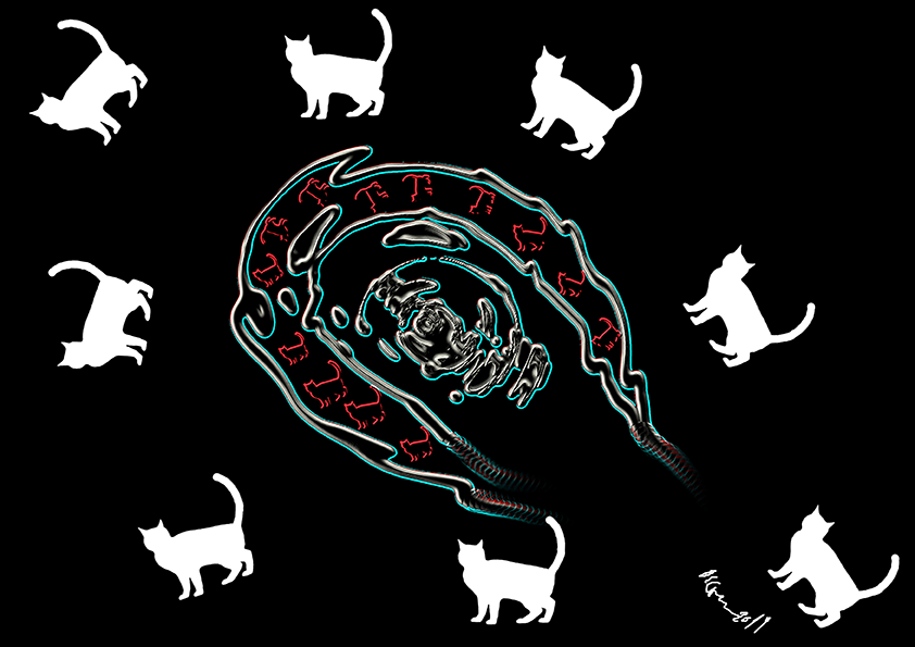 The order of white cats (Animals by Giulia Occorsio)